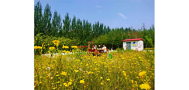 沈陽(yáng)北軟信息職業(yè)技術(shù)學(xué)院 - 最美院校