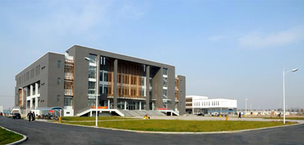 我的大學(xué)-大學(xué)志