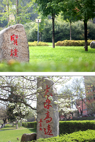 歲月流金 · 青春不散場