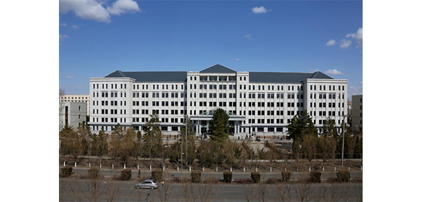 我的大學(xué)-大學(xué)志