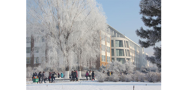 我的大學(xué)-大學(xué)志