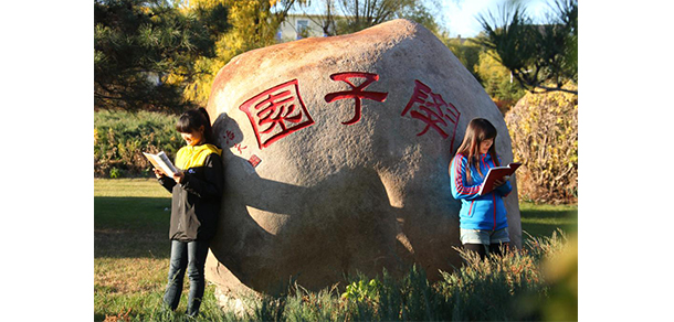 我的大學(xué)-大學(xué)志