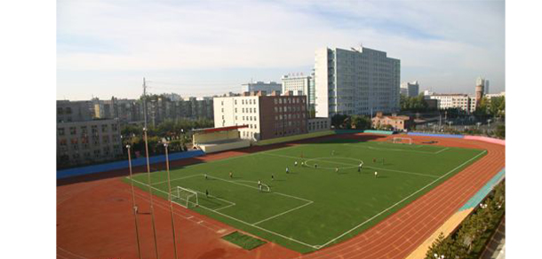 我的大學(xué)-大學(xué)志