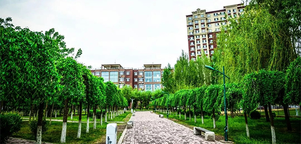 我的大學(xué)-大學(xué)志