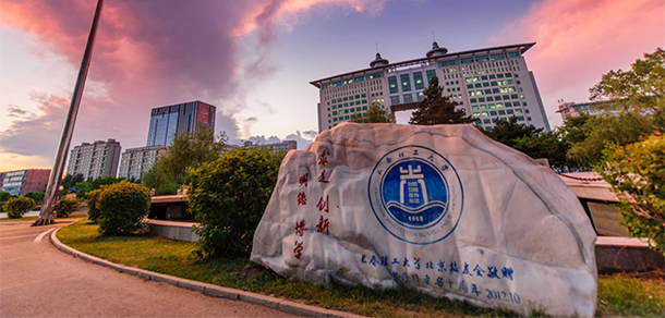 我的大學-大學志