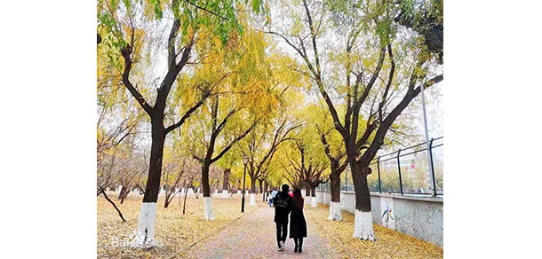 2021年招生分?jǐn)?shù)
