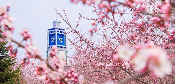 我的大學-大學志