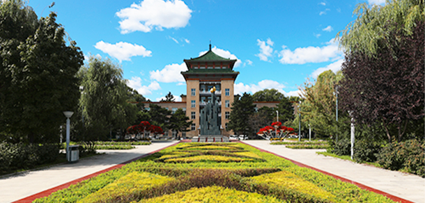 我的大學-大學志