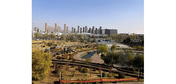 我的大學-大學志