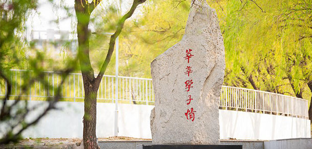 我的大學-大學志