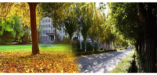我的大學(xué)-大學(xué)志