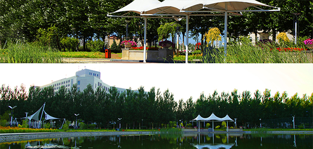 我的大學(xué)-大學(xué)志