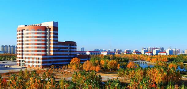 我的大學-大學志