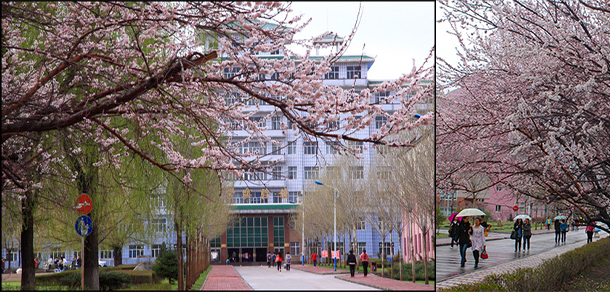 我的大學-大學志