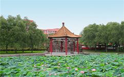 鶴崗師范高等?？茖W(xué)校 - 我的大學(xué)
