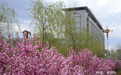 黑龍江農(nóng)墾科技職業(yè)學院 - 我的大學