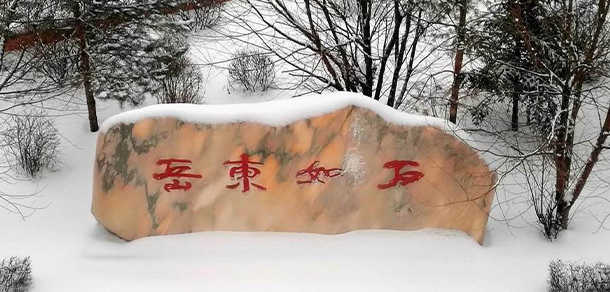 黑龍江農(nóng)業(yè)職業(yè)技術(shù)學院 - 最美大學