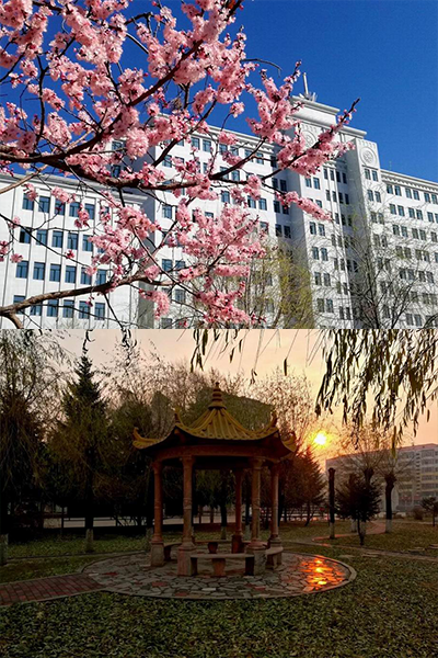黑龍江農(nóng)業(yè)職業(yè)技術(shù)學院