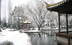 歷史沿革(概)校史