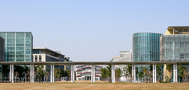 我的大學(xué)-大學(xué)志