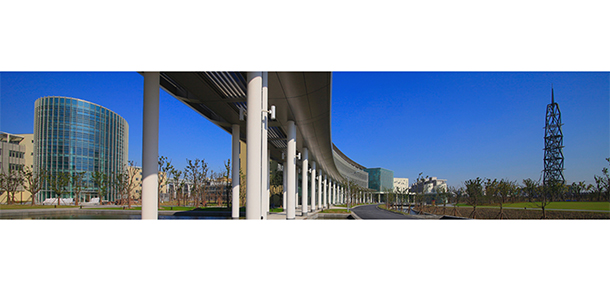我的大學(xué)-大學(xué)志