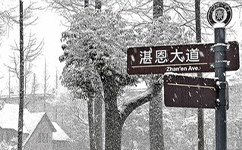 歷史沿革(概)校史
