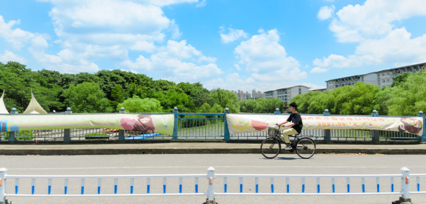 我的大學(xué)-大學(xué)志