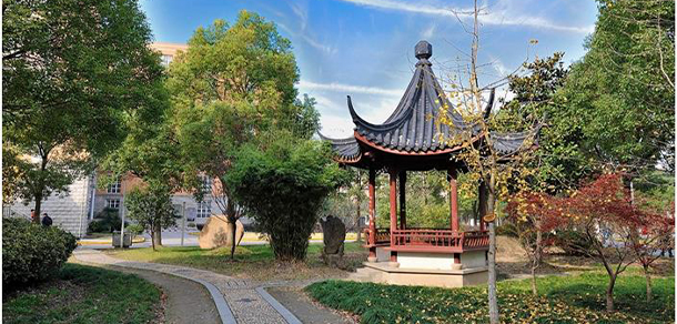 我的大學(xué)-大學(xué)志