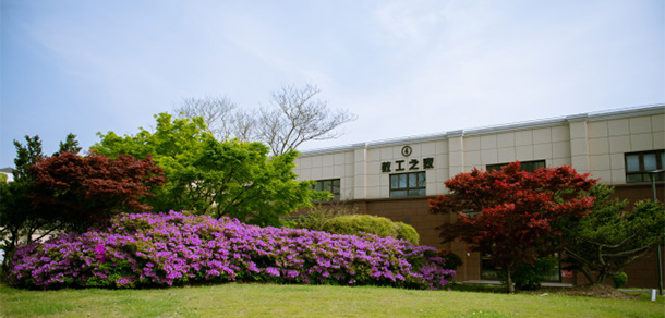 我的大學(xué)-大學(xué)志