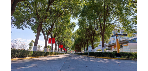 我的大學-大學志