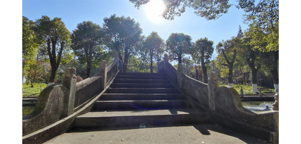 我的大學-大學志