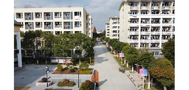 我的大學-大學志
