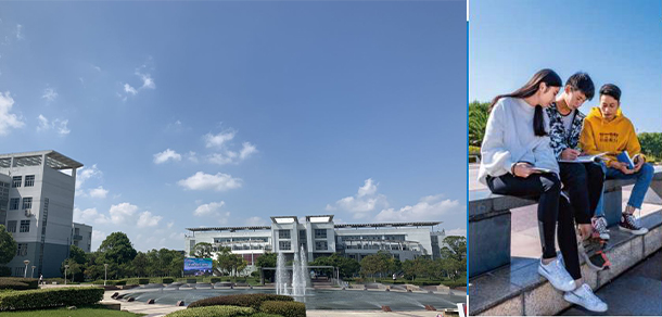 我的大學(xué)-大學(xué)志